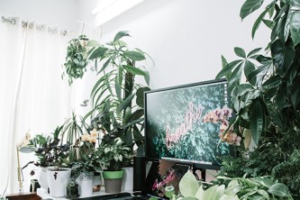 java常用技术栈（java常用技术）